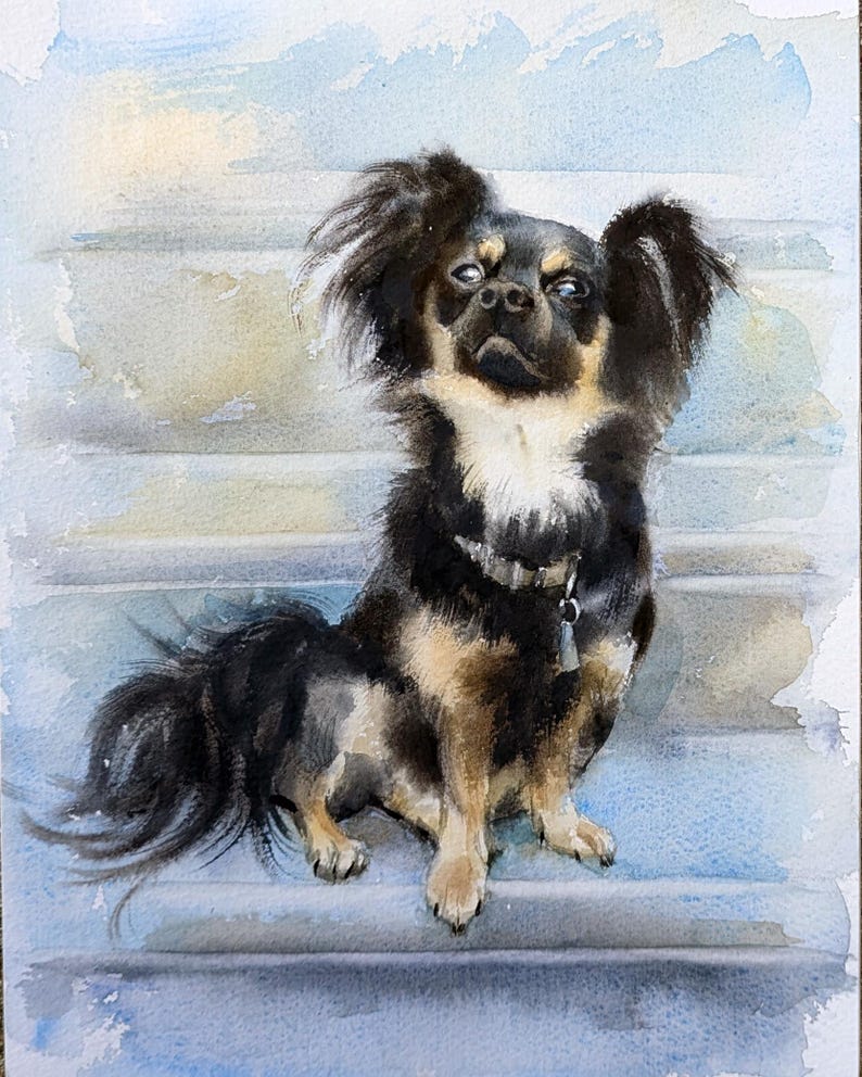 May include: A watercolor painting of a long-haired black and tan dog with white chest markings, wearing a silver collar with a small tag. The dog is sitting on a light blue surface with a soft, painterly wash effect in the background.