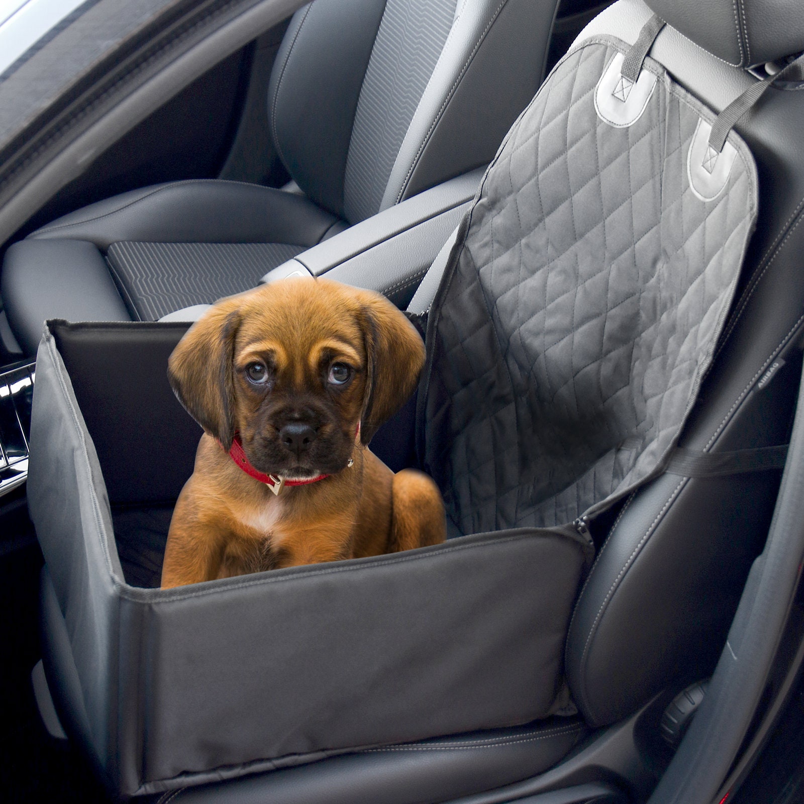 2 en 1 perro Booster asiento del coche cubierta impermeable Etsy
