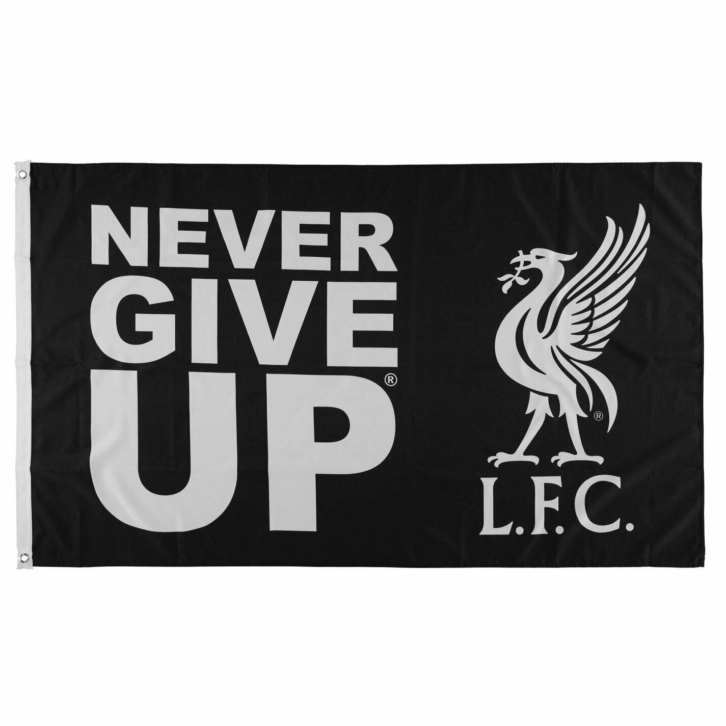 Never give. Never give up картинки. Never give up фильм 2015. Never give перевод. Never give up лягушка.