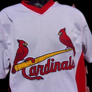 St Louis Blues hockey and St Louis Cardinals baseball logo 2023, hoodie,  sweater and v-neck t-shirt