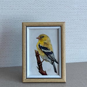 Obra de arte de aves Pintura al óleo original del pájaro jilguero americano, lindo pajarito, mini arte, lindo arte 4 x 6 pulgadas enmarcado animalístico