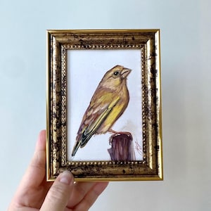 Pintura al óleo de pájaro pequeño, retrato de jilguero americano, lindo pajarito amarillo, mini arte, lindo arte de 5 x 6 pulgadas enmarcado animalístico, idea de regalo