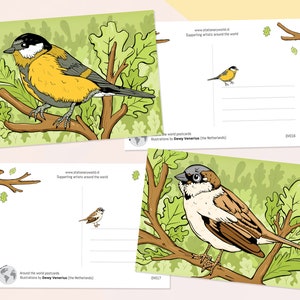 Conjunto de postales de pájaros.