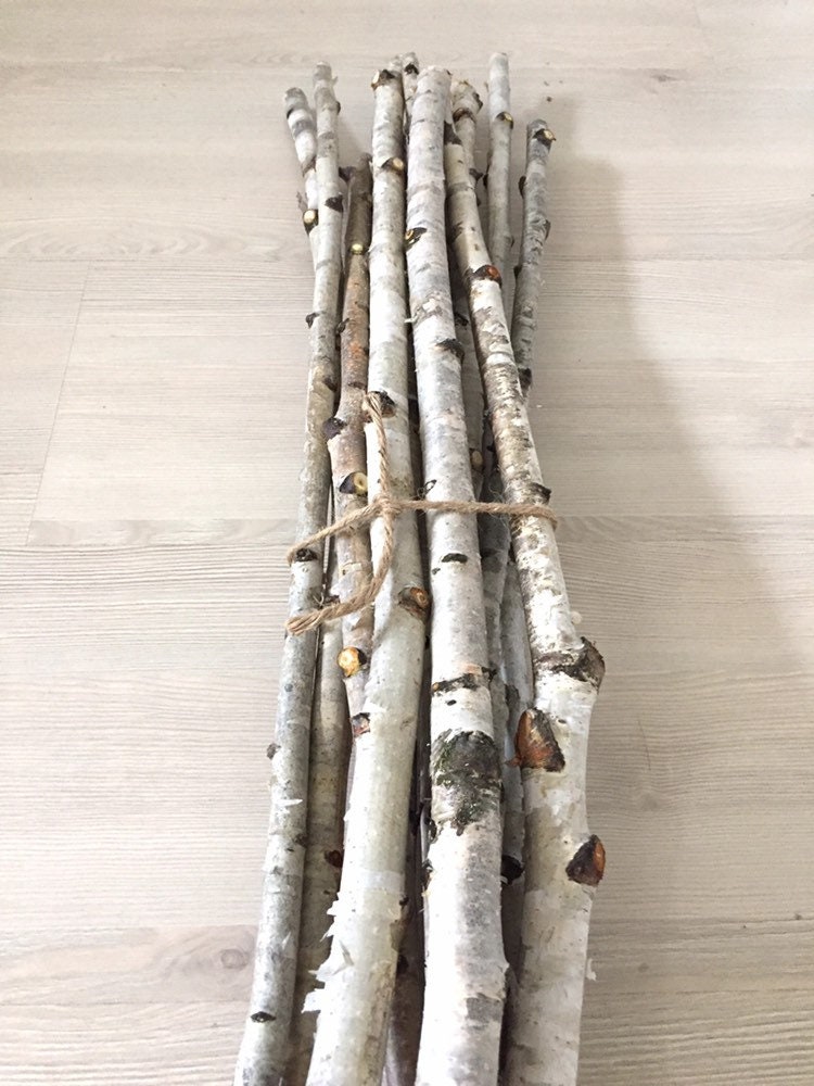 Set of 10 white birch sticks birch wood rustic birch wood Etsy
