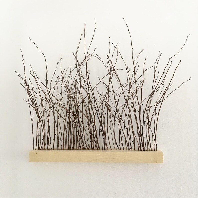 Natural birch twigs wall art decor Etsy