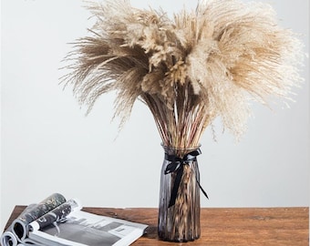 80 Pcs Natural Dried Pampas Grass Dry Pompous Grass Plants Fluffy Artificial Pampas Grass Reed Lagurus Ovatus Bunny Tail Grass Bouquet Flower Vase Arrangement for Home Decor Boho Wedding Fall Decor