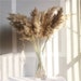 20 Stems Dried Pampas Grass Bouquet Fluffy Pampas Grass Wedding Decor Dried Flower Natural Plants Home Decor Large Pampas Pompous Grass