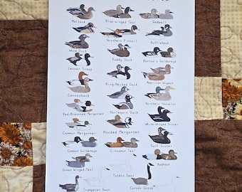 Waterfowl of Alberta 6 by 9 inches Print Recycled Paper | Handmade