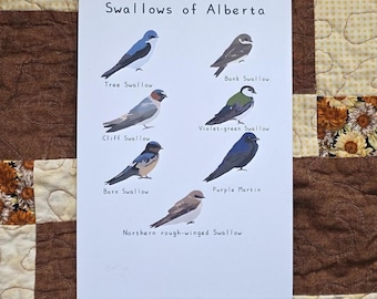 Swallows of Alberta 6 by 9 inches Print Recycled Paper | Handmade
