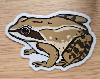 Wood Frog Vinyl Sticker