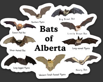 Bats of Alberta Vinyl Sticker | Bat Sticker | Bats | Bat Conservation | Support bats