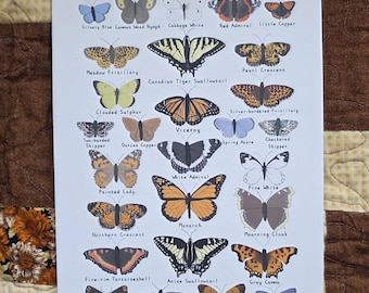 Butterflies of Alberta 6 by 9 inches Print Recycled Paper | Handmade