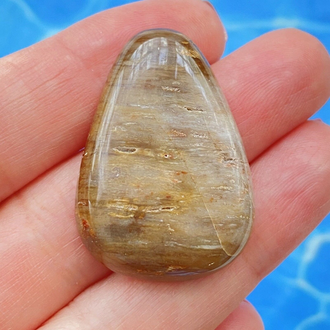 Texas Petrified Palm Wood 36x25x6 Mm Cabochon Gemstone for Jewelry Makers Signed Ring, Pendant
