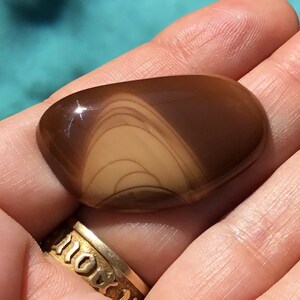 May include: A smooth, polished brown agate stone with a swirling, concentric pattern of lighter brown and cream colors.