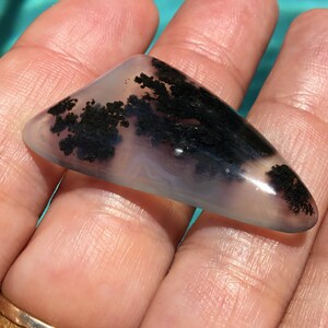 May include: A triangular, translucent, light grey agate cabochon with black dendritic inclusions. The agate has a smooth, polished surface.