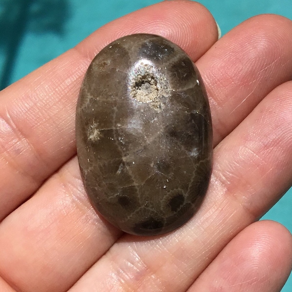 Michigan Petoskey Stone Fossil Coral 36x24mm Cabochon Gemstone for Jewelry Making - Ring, Pendant, Necklace, Bracelet or Bolo