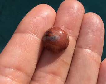 Utah Petrified Red Horn Coral Oval 13 MM Diameter Cabochon Gemstone for Jewelry Making - Ring, Pendant, Necklace, or Bracelet