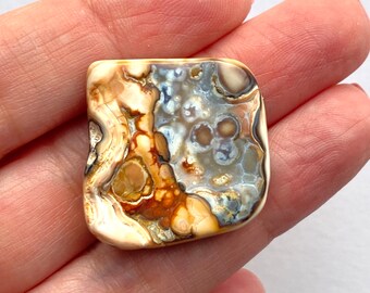 RESERVED Agatized Tampa Bay Fossil Coral Tumbled Agate Gemstone 27mm Square mm for Jewelry Makers - Ring, Pendant or Bracelet