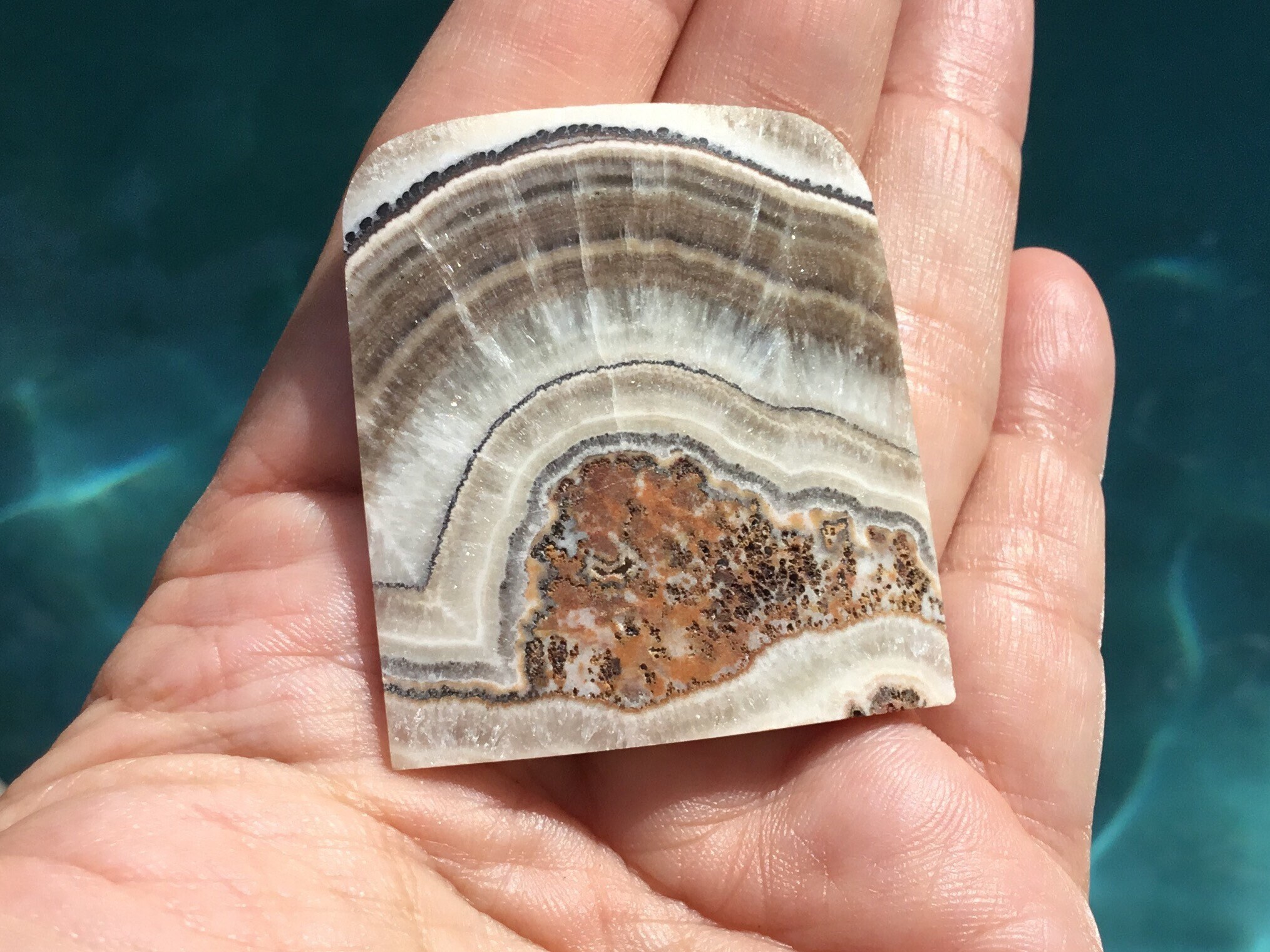 Crazy Lace Agate Shield 47x42 mm Cabochon Gemstone for Jewelry Designers - Pendant, Necklace, Bracelet, Bolo or Belt Buckle
