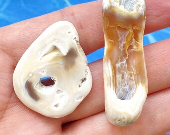 Agatized Tampa Bay Fossil Coral Tumbled Agate Gemstones 46-33 mm Set of 2 for Jewelry Makers - Rings, Pendants or Bracelets
