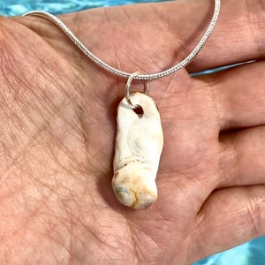 May include: A white seashell pendant necklace with a silver chain. The seashell is a unique shape and has a natural, organic texture.