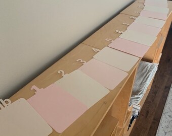 Monthly boho blush banner for first birthday