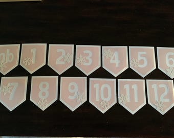Winter Onederland First Birthday Monthly Banner