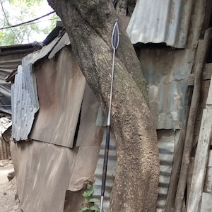 以下が含まれることがあります： 葉の形をした先端を持つ長い銀色の槍が、大きな木の幹に寄りかかっています。木は波板張りの木造建築物の前にあります。