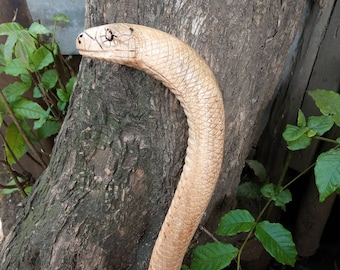 May include: A carved wooden cobra cane with a detailed head and body. The cane is light brown and has a textured surface, resembling snake scales. The cane is leaning against a tree trunk with green foliage.