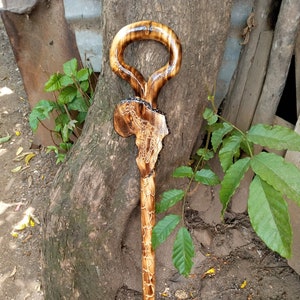 African Continent Original Hiking Walking Stick Cane Mobility Handmade Kenya 1PC Jacaranda Olivewood Black Rosewood Art Unisex Various Sizes