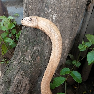 Könnte beinhalten: Ein geschnitzter Cobra-Gehstock aus Holz mit detailliertem Kopf und Körper. Der Gehstock ist hellbraun und hat eine strukturierte Oberfläche, die Schuppen nachahmt. Er lehnt an einem Baumstamm, umgeben von grünem Laub.