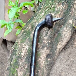 以下が含まれることがあります： 彫刻が施された黒い木製の杖で、先端が尖っています。杖は木の幹に立てかけられています。