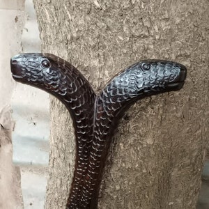 Könnte beinhalten: Ein Gehstock aus Holz, der in Form einer zweiköpfigen Schlange geschnitzt ist. Die Schlange ist dunkelbraun und hat eine strukturierte Oberfläche. Der Stock lehnt an einem Baumstamm.