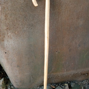 May include: A wooden walking stick with a curved handle. The stick is light brown in color and has a smooth finish.