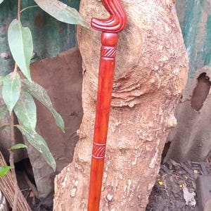 Puede incluir: Un bastón de madera con un mango tallado en forma de cabeza de elefante. El bastón es de color marrón rojizo y tiene un acabado liso y pulido.