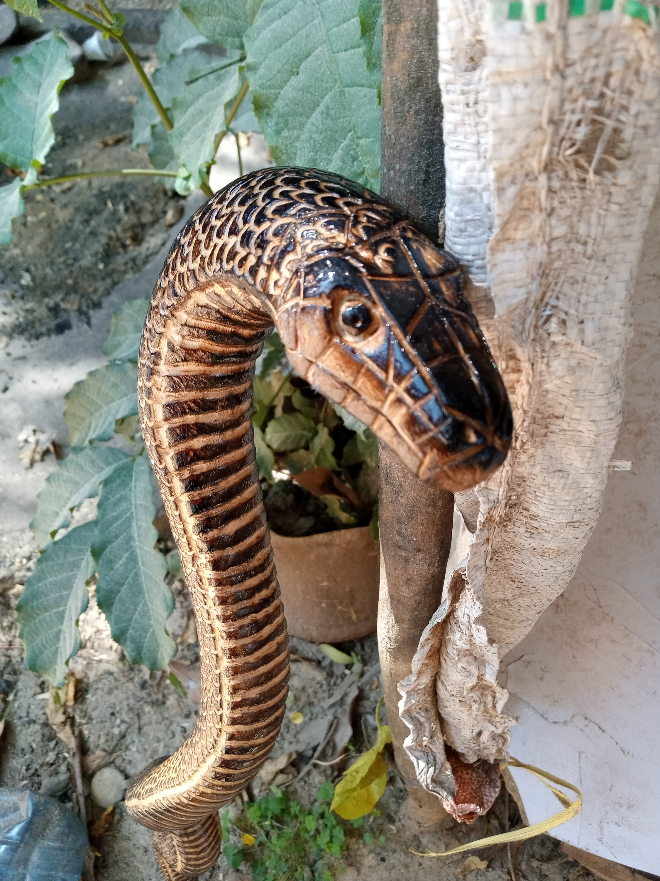 Blue Gum African Mamba Snake Original Hiking Walking Stick