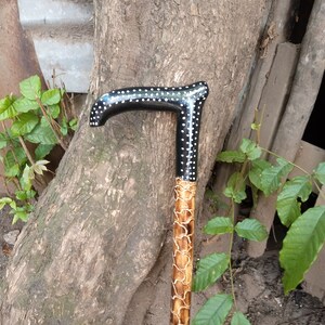 May include: A wooden walking stick with a black handle and white polka dots. The stick is brown and has a natural wood grain pattern.