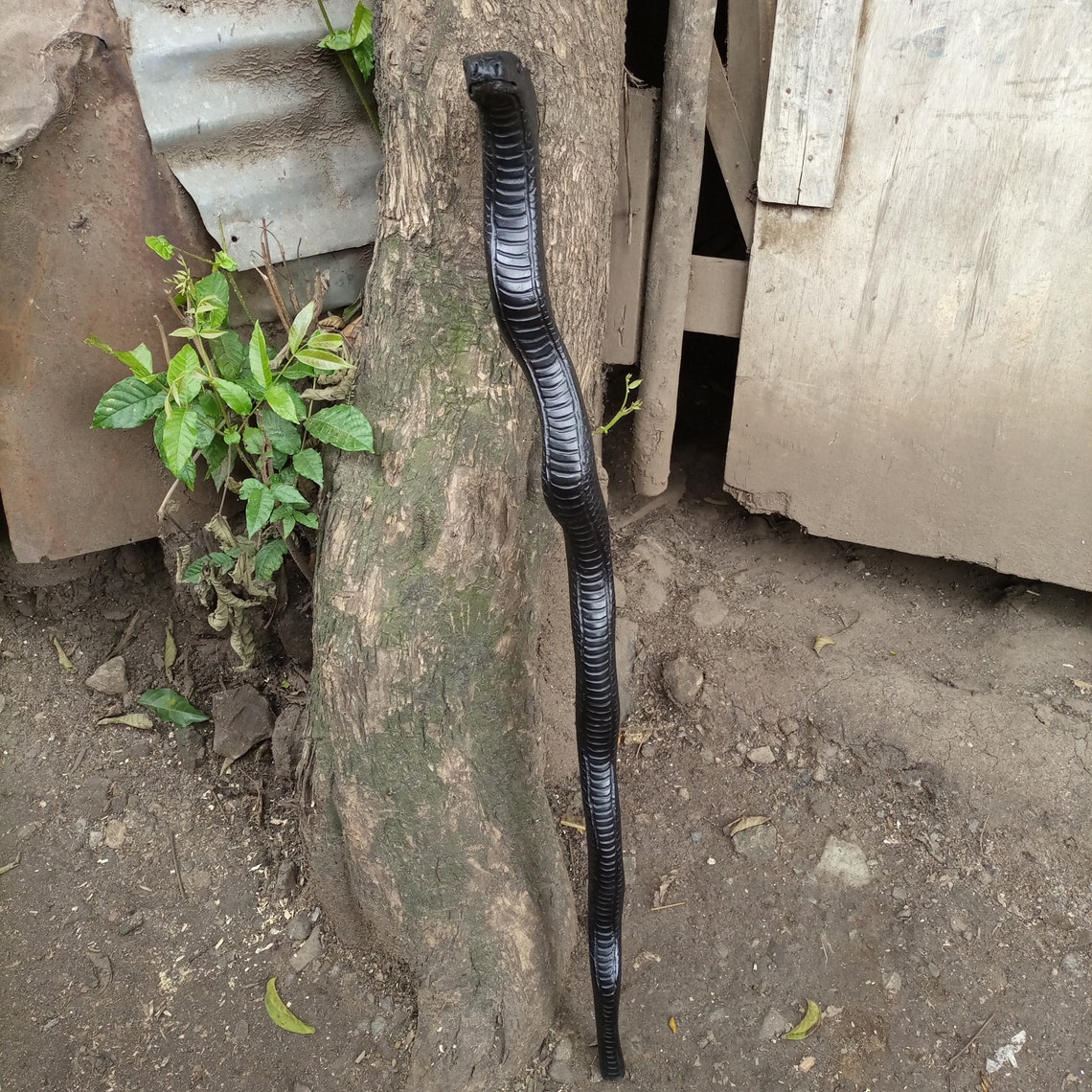 Ironwood African 2headed Python Original Hiking Walking Stick Cane ...