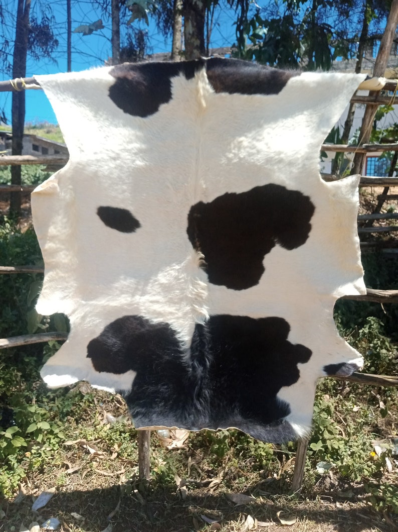 May include: A white cowhide with black patches, hanging on a wooden frame. The hide is soft and supple, with a natural, rustic look.