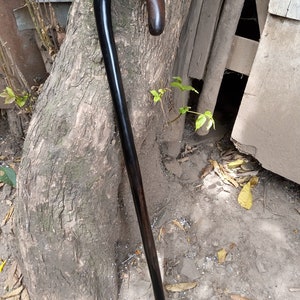 May include: A black wooden walking stick with a curved handle.