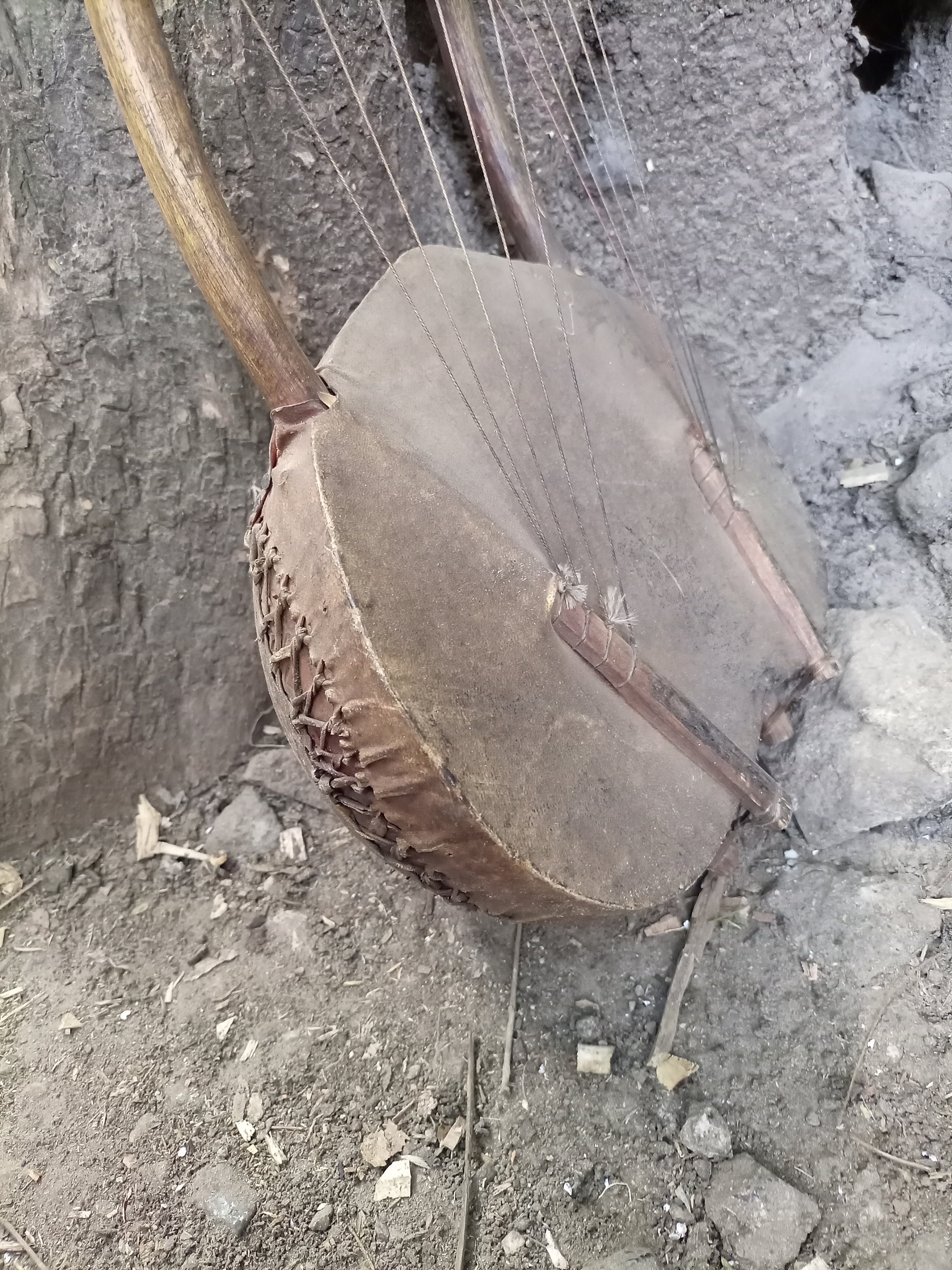 10string Original Double Zeze Plucked Bowl Yoke Lute Cowhide Etsy