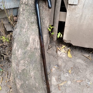 May include: A wooden walking stick with a black, curved handle. The stick is brown and has a natural wood finish.