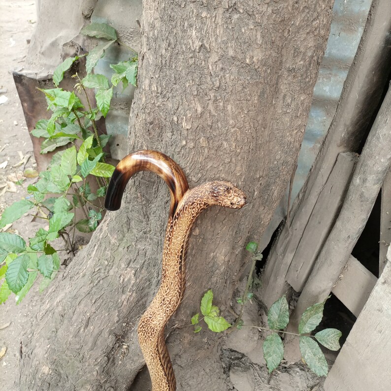 African Python Hook Handle Style Original Hiking Walking Stick - Etsy