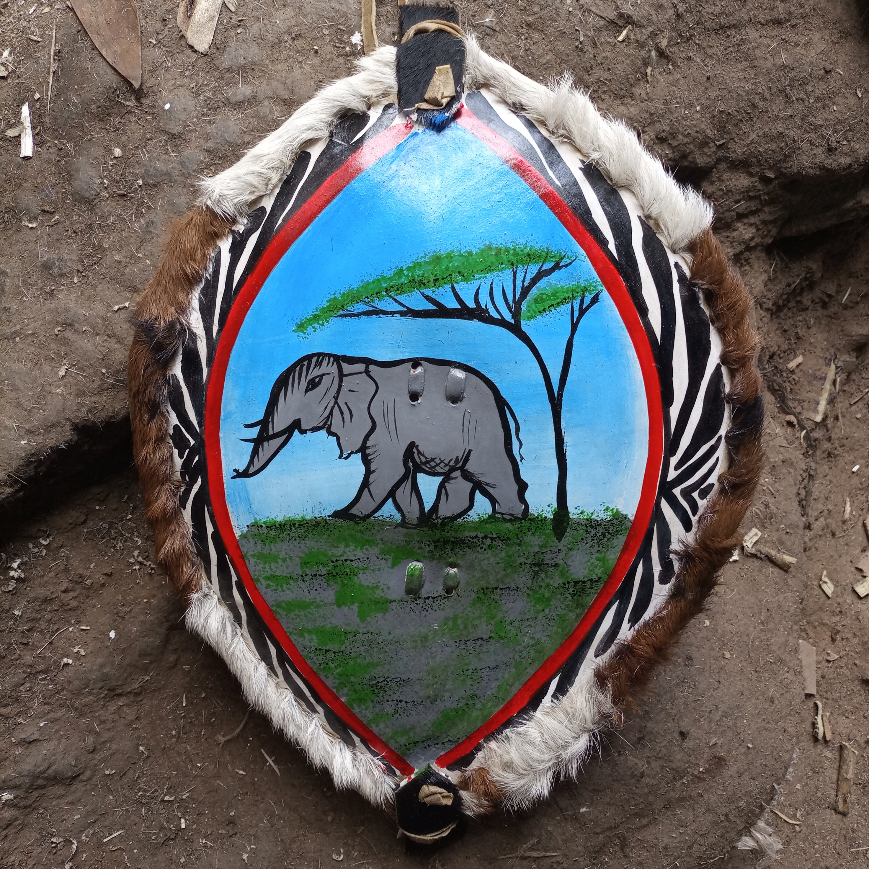 Original Warrior Zulu Shield Elephant Acacia Tree Blue Sky Functional ...