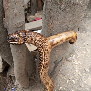 May include: A wooden walking stick carved in the shape of a snake. The snake's head is at the top of the stick and the body is carved with scales. The stick is brown and has a natural wood finish.