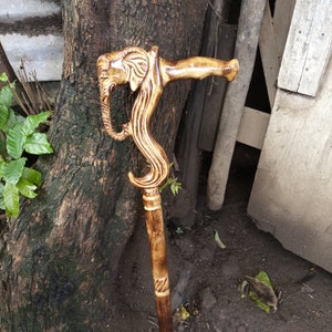 Puede incluir: Un bastón de madera con una cabeza de elefante tallada de forma intrincada en la parte superior. El bastón es marrón y tiene un acabado de madera natural.