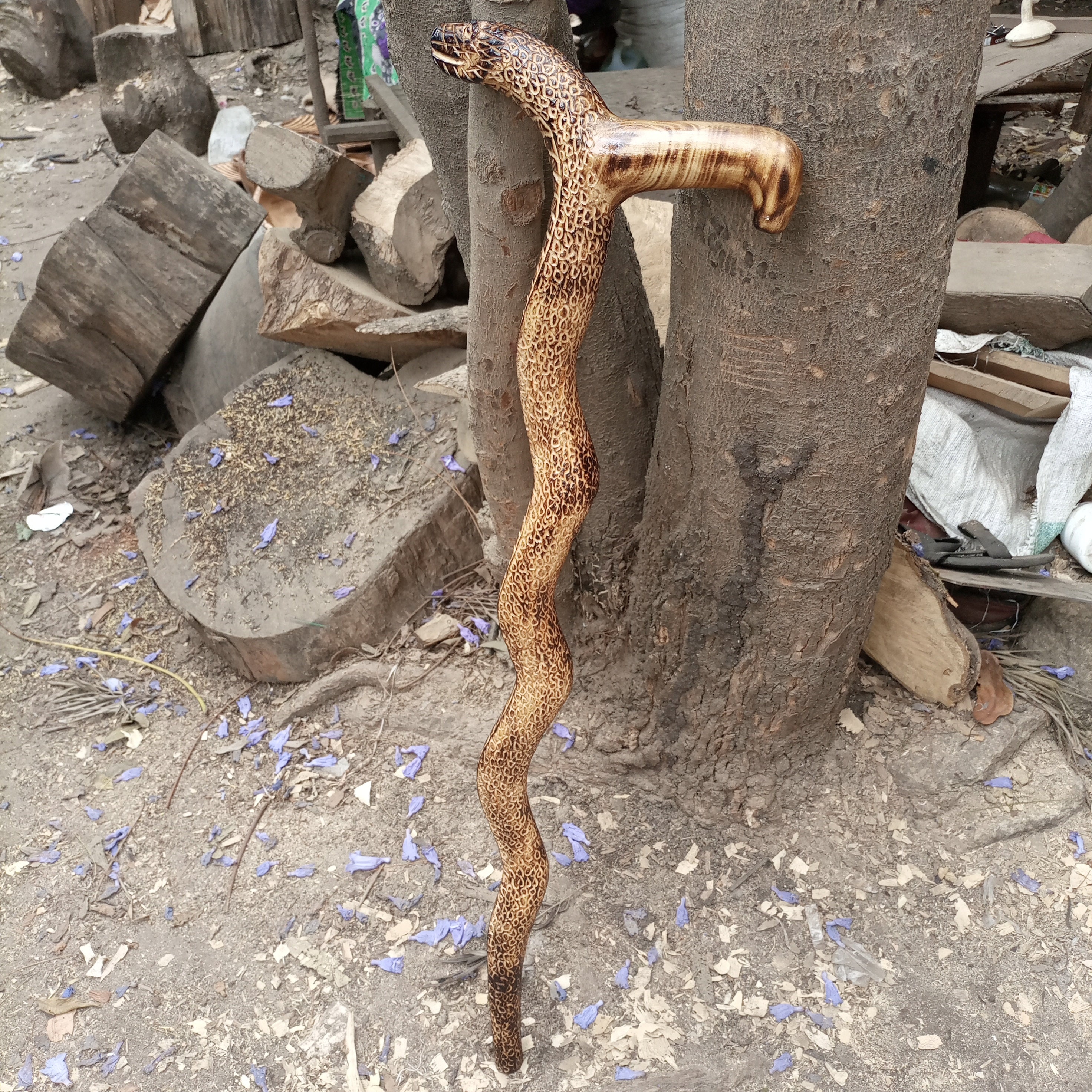 Python Kenya Snake African Python 1PC Comfort Handle Original Hiking Walking Stick Cane ...