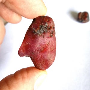 May include: A rough, uncut ruby gemstone with a deep red hue, held between fingers. The ruby has a textured surface with dark spots and a slightly irregular shape. Another smaller ruby is visible in the background.