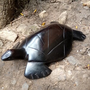 May include: A dark brown, carved wooden turtle figurine. The turtle has a smooth, polished finish and detailed features, including a segmented shell and flipper-like limbs. The figurine is resting on a surface of dirt and small rocks.