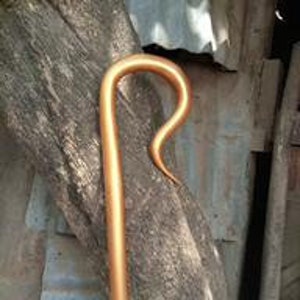 Puede incluir: Un bastón de madera dorado con un mango curvo. El bastón está hecho de madera y tiene un acabado liso.